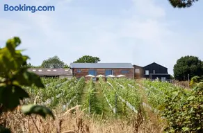Tillingham Winery - Image 1