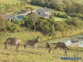 Hakuna Matata Game Farm - Image 1