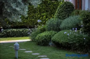 Tas Bahce Hotel Cunda - Image 3