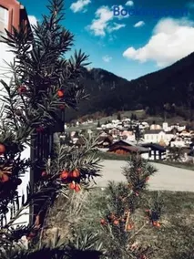 Hotel Daneu Gaschurn - Image 4
