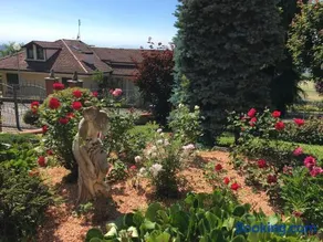 Villa Anselma - Image 2