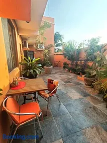 El Ultimo Maya - Image 2