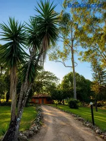 Casa de Madeira Néktar - Refúgio na Natureza - Image 2