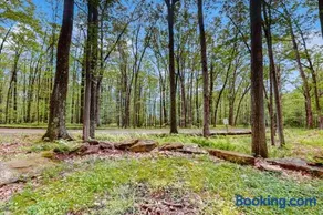Hundred Acre Wood - Image 3
