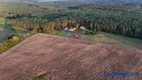 Nocleg na skraju puszczy - Image 3