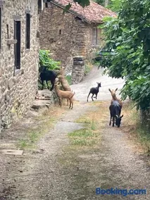 Apartamento Picos de Europa - Image 5