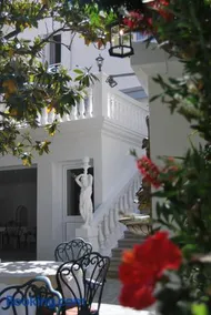 Le Magnolia - Image 5