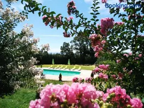Alcor del Roble - Image 2