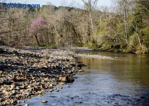 Caddo Cabin on Collier Creek - Image 2