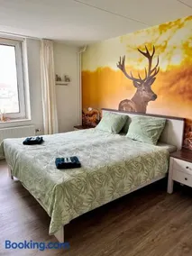 B&B Tina - Image 2