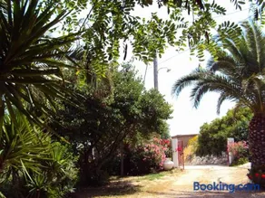 Irini Studios - Image 3