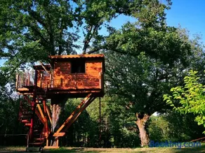 Casa sull'albero Bocchineri - Image 4
