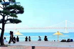 Gwangalli Beach. house. 3 bed. 6 people - Image 4