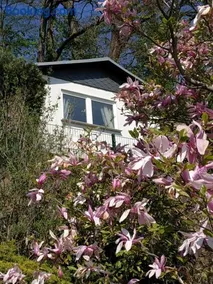 Das Ferienhaus mit Aussicht - Image 4
