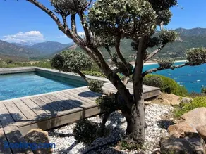 Studio à Torra - Image 1