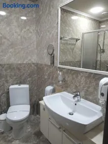 Sapsan - Image 3