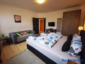 Moderne Ferienwohnung in Zwickau - Image 2