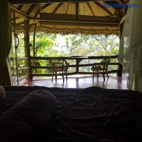 On The Rocks Bungalows, Restaurant and Jungle Trekking Tours - From May to September only stay here if you are booking jungle treks with us - feel free to contact us about our Jungle Trekking services - Image 4