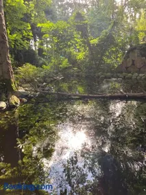 Ferienwohnung auf einem Resthof zentral gelegen mit viel Natur und Tieren - Image 3