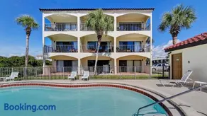 Palms C8 - Image 4