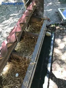 Bus atypique au bord du canal du midi et au cœur d'une forêt 2 chambres - Image 4