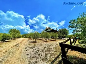 Estate Tsiati - Κτήμα Τσιάτη - Image 4