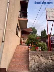 Gold Fayen House Cheile Turului - Image 2