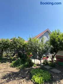 La Anica - Image 3
