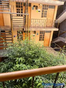 Hostal Cactus - Image 2