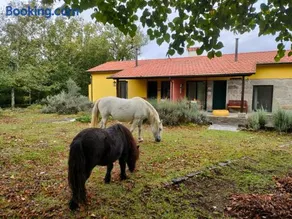 Casa Das Palmeiras-Pedagogic Farm - Image 1