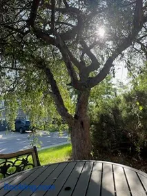 Sunny and Spacious, Hottub, Piano, Guitars, Fenced Yard, Pets Welcome, LGBT Friendly - Image 4