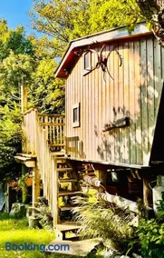 La cabane perchée du trappeur - Image 2