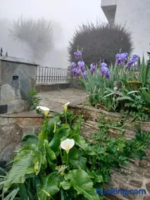 Casa Benaxo Ribeira Sacra - Image 2