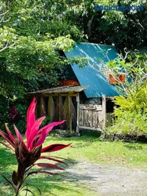 Rustic Cabin in Pavones surf brake - Image 4