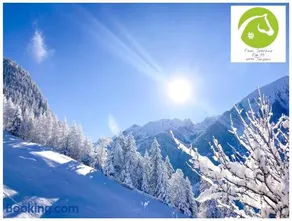 Berghaus Egg - Image 3