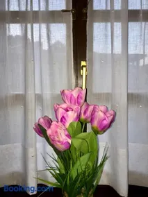 Apartamentos Palombina - Image 1