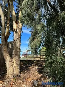 San Diego Trail Guest Ranch - Image 2