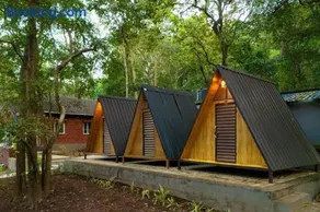 Rain Forest Jungle Stay - Image 4