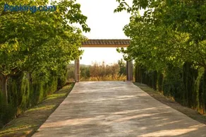 Agroturismo Casa Saladarejo de los Olivos - Image 5