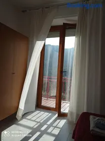 B&B Leo - Image 1