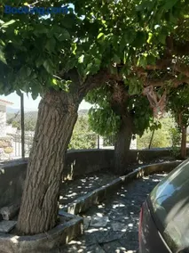 Ησυχη εξοχική κατοικία - Image 1
