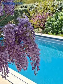 Onze Villa in Provence, Mont Ventoux, New Luxury Villa, Private Pool, Stunning views, Outdoor Kitchen, Big Green Egg - Image 4