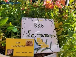 La Mimosa - Image 2