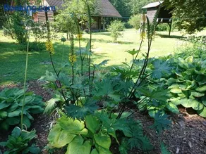 Marknatalu Puhkemajad - Image 2