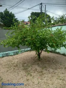 Jardim Paraíso - Image 2