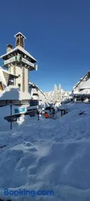 Apartman SREBRNA PAHULjA-Konaci - Image 1