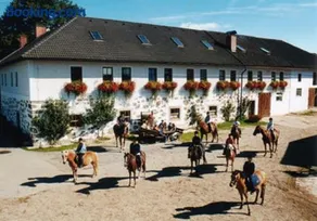 Reiterhof Stöglehner - Image 4