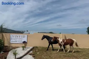 VinVid Harties Guesthouse & Spa - Image 4