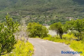 YAI Wellness Oasis - Image 1