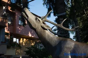 Guest House Elena - Image 2